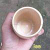Ly tre uống trà CLARA 10 | Tramdot.com