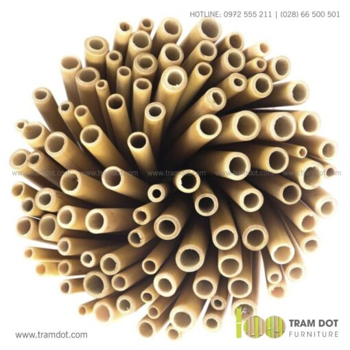 Bộ ống hút tre tự nhiên 100 cái, Pack 100 natural bamboo straws - Trăm Đốt