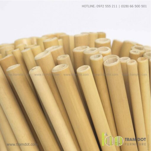 Bộ ống hút tre tự nhiên 100 cái, Pack 100 natural bamboo straws - Trăm Đốt
