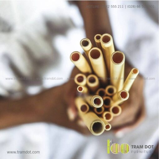 Bộ ống hút tre tự nhiên 100 cái, Pack 100 natural bamboo straws - Trăm Đốt