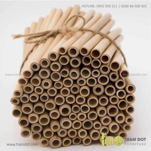 Bộ ống hút tre tự nhiên 100 cái, Pack 100 natural bamboo straws - Trăm Đốt
