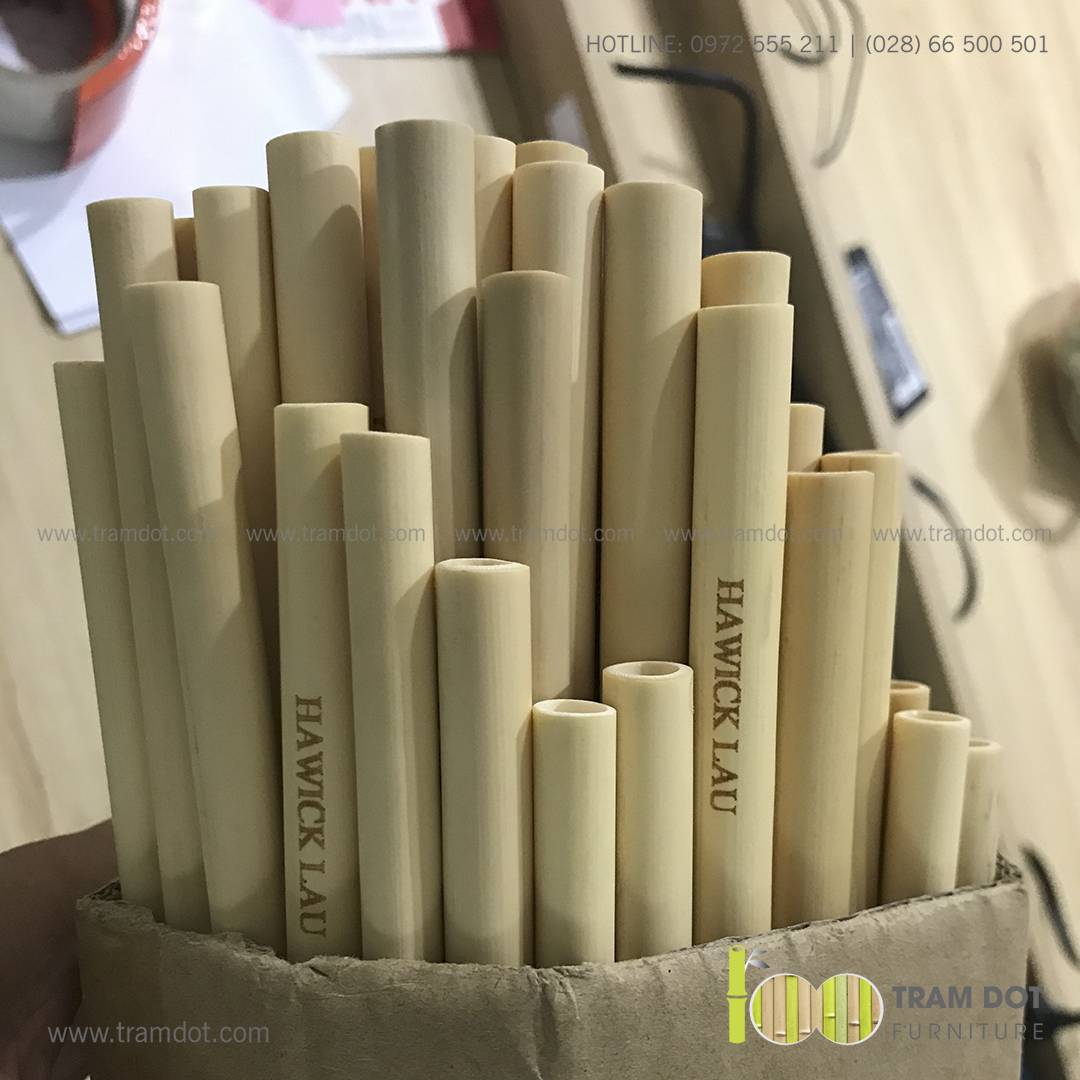 Bộ ống hút tre tự nhiên size vừa 2 cái, Pack 2 natural bamboo straws - Trăm Đốt