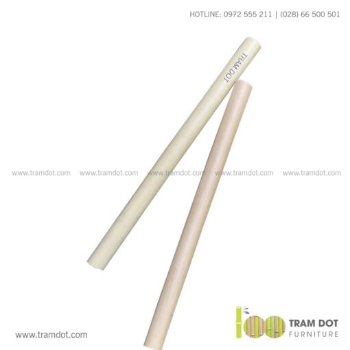 Bộ ống hút tre tự nhiên size vừa 2 cái, Pack 2 natural bamboo straws - Trăm Đốt