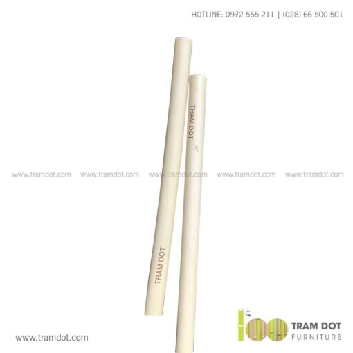 Bộ ống hút tre tự nhiên size vừa 2 cái, Pack 2 natural bamboo straws - Trăm Đốt