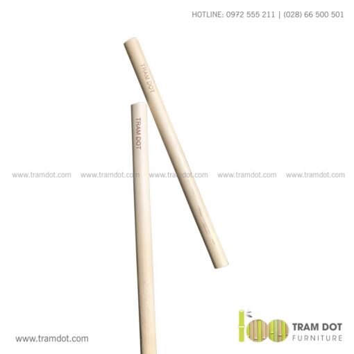 Bộ ống hút tre tự nhiên size vừa 2 cái, Pack 2 natural bamboo straws - Trăm Đốt