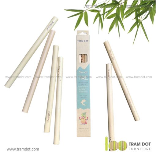 Bộ ống hút tre tự nhiên size vừa 2 cái, Pack 2 natural bamboo straws - Trăm Đốt