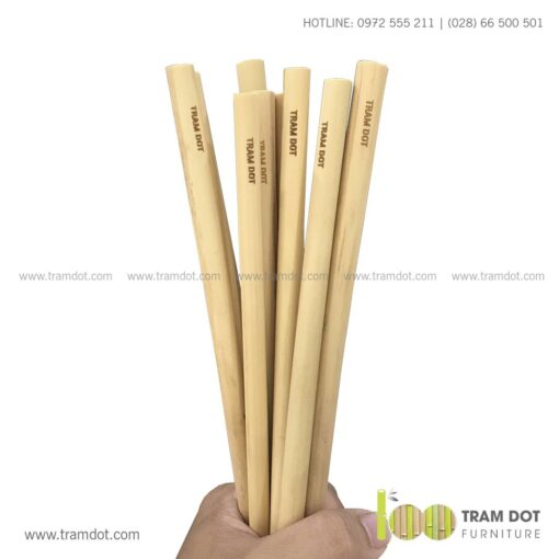 Bộ ống hút tre tự nhiên size vừa 2 cái, Pack 2 natural bamboo straws - Trăm Đốt