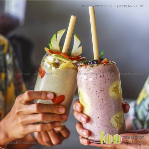 Bộ ống hút tre tự nhiên size vừa 2 cái, Pack 2 natural bamboo straws - Trăm Đốt