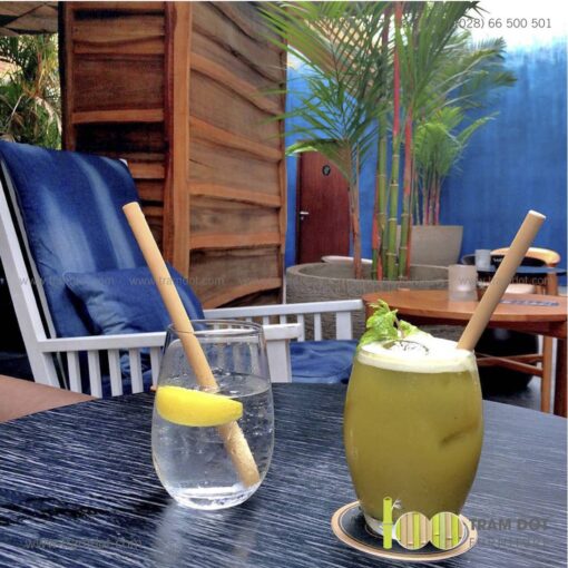 Bộ ống hút tre tự nhiên size vừa 2 cái, Pack 2 natural bamboo straws - Trăm Đốt