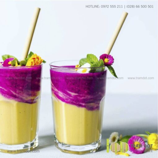 Bộ ống hút tre tự nhiên size vừa 2 cái, Pack 2 natural bamboo straws - Trăm Đốt