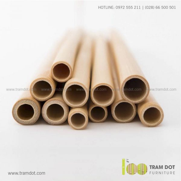 Bộ ống hút tre tự nhiên size lớn 2 cái, Pack 2 natural bamboo straws - Trăm Đốt