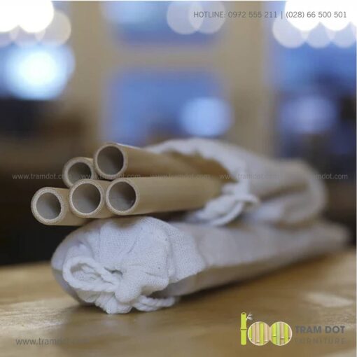 Bộ ống hút tre tự nhiên 6 cái, Pack 6 natural bamboo straws - Trăm Đốt