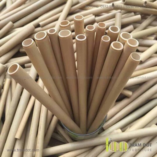 Tham quan xưởng gia công ống hút tre Trăm Đốt