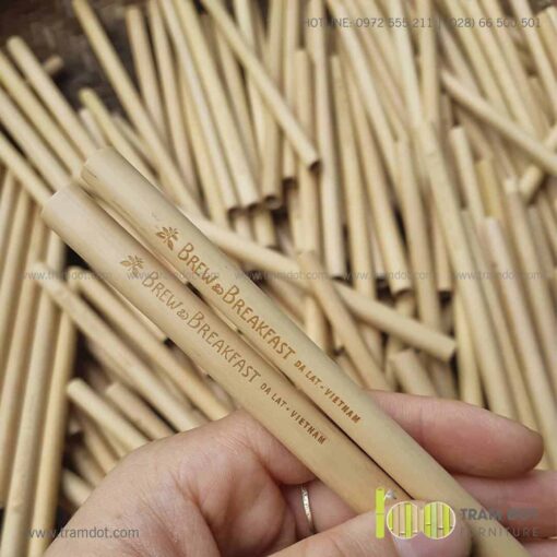 Tham quan xưởng gia công ống hút tre Trăm Đốt