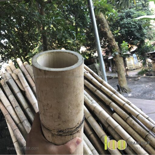ng tre đựng đũa SIMON 3 | Tramdot.com