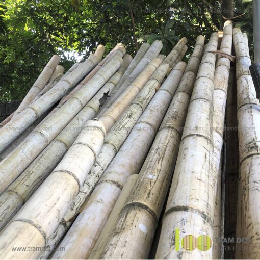 ng tre đựng đũa SIMON 6 | Tramdot.com