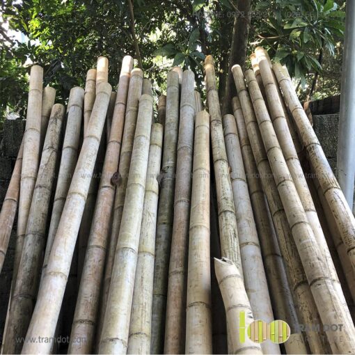 ng tre đựng đũa SIMON 7 | Tramdot.com