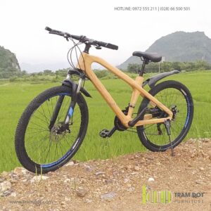 Xe đạp tre TRAM DOT (1)