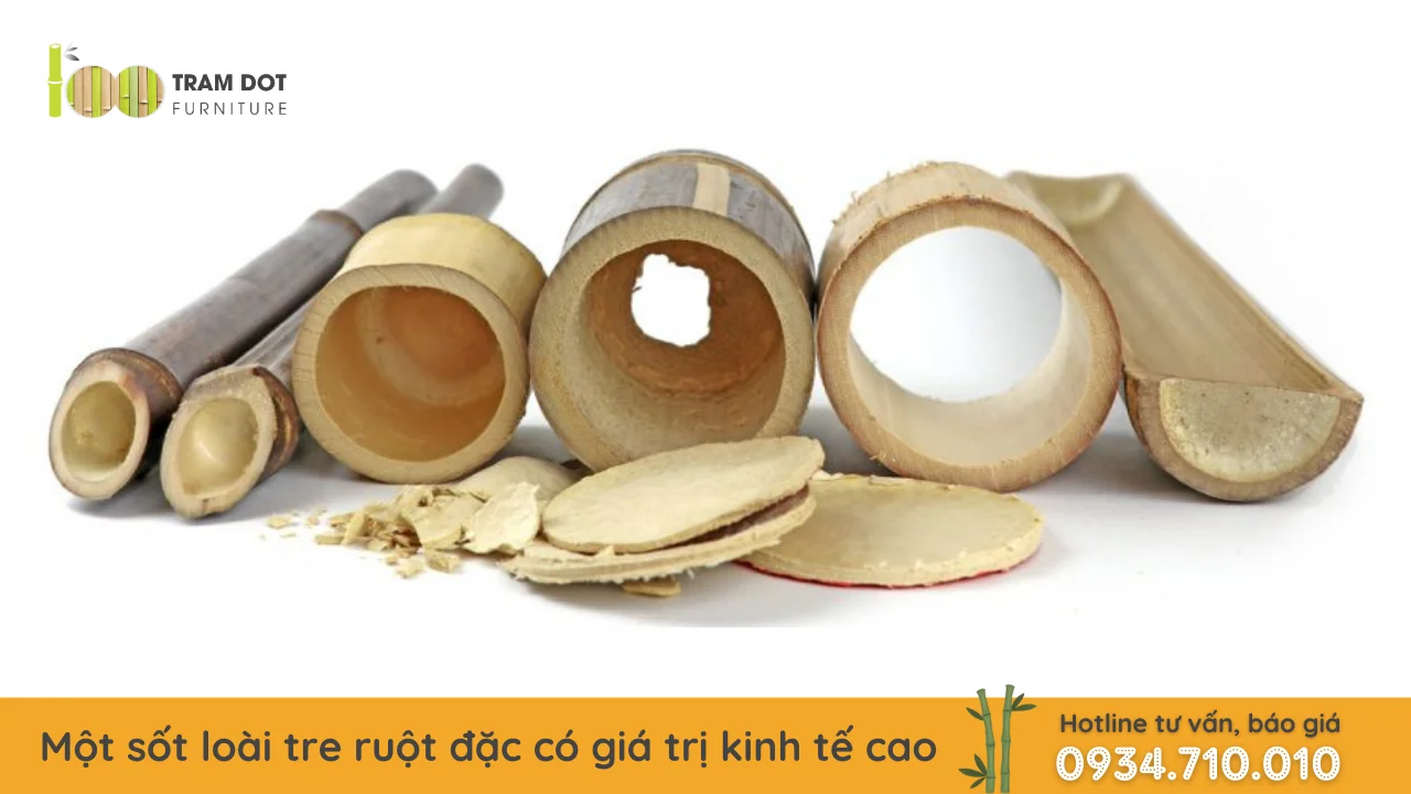 Khong phai tre nao cung rong ruot | Tramdot.com
